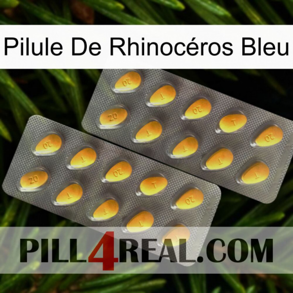 Pilule De Rhinocéros Bleu cialis2